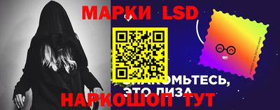 гидра Будённовск