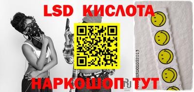 гидра Будённовск