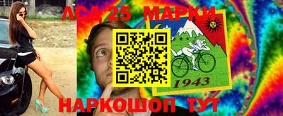 гидра Будённовск