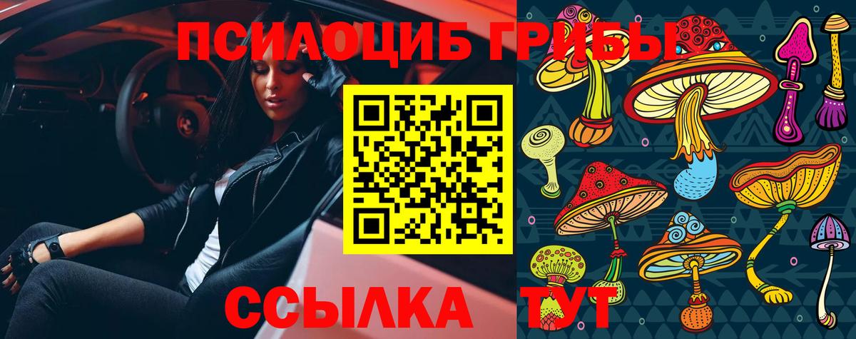 Псилоцибиновые грибы мицелий  Галлюциногенные грибы прущие грибы  закладки  Вход с VPN  Солнечногорск 